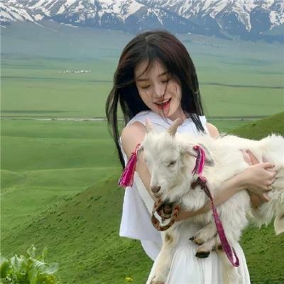 寅次郎的故事43寅次郎的休息日